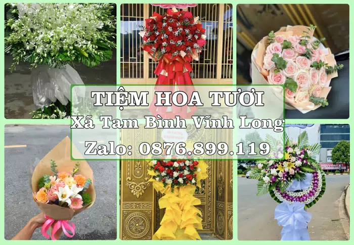 Shop hoa tươi tại Xã Tam Bình Vĩnh Long – Hoa xinh, trái cây cho những dịp gần gũi · ảnh 1