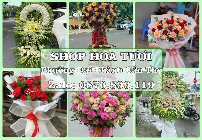 Shop hoa tươi tại Phường Đại Thành Cần Thơ – Gửi lời quan tâm bằng hoa và trái cây · ảnh 1