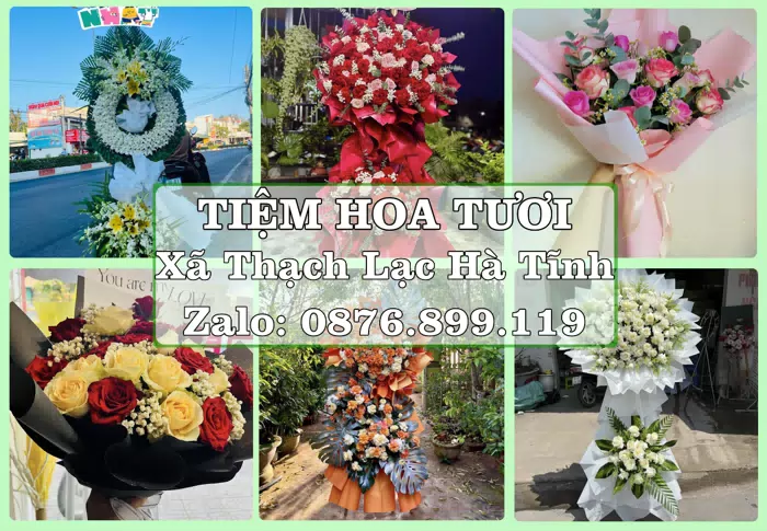 Shop hoa tươi tại Xã Thạch Lạc Hà Tĩnh – Tìm món quà hợp dịp, hợp người nhận · ảnh 1