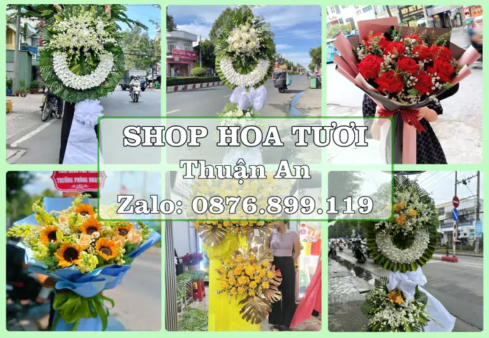 Shop hoa tươi tại Thuận An – Tư vấn hoa và trái cây theo ngân sách · ảnh 1