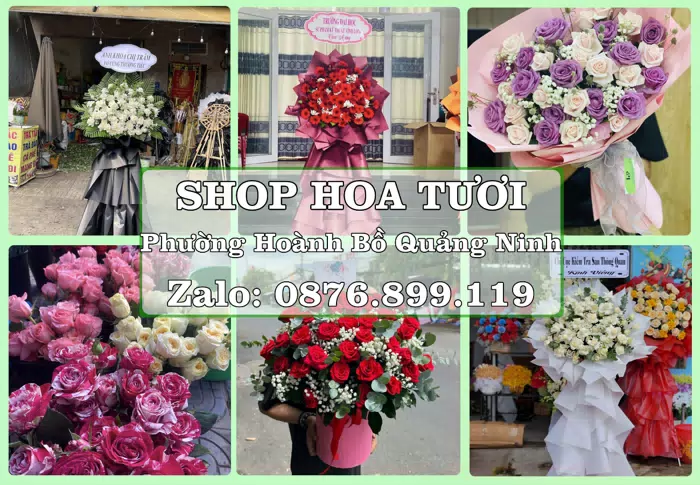Shop hoa tươi tại Phường Hoành Bồ Quảng Ninh – Hoa chúc mừng, quà biếu theo nhu cầu · ảnh 1