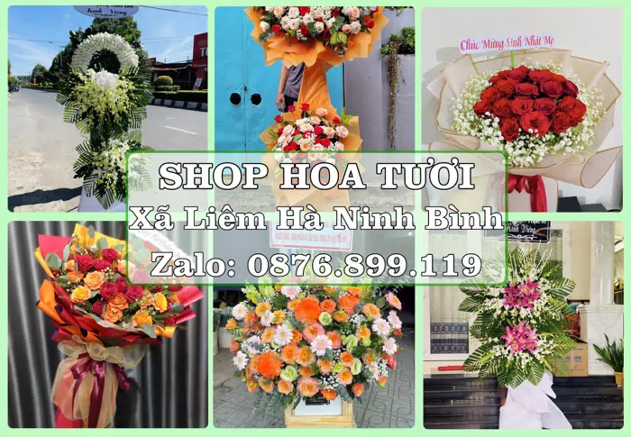 Shop hoa tươi tại Xã Liêm Hà Ninh Bình – Gửi lời quan tâm bằng hoa và trái cây · ảnh 1