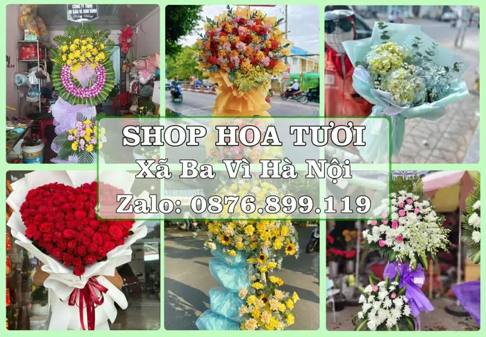 Shop hoa tươi tại Xã Ba Vì Hà Nội – Gửi lời quan tâm bằng hoa và trái cây · ảnh 1