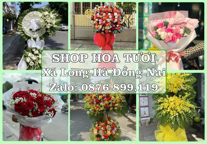 Shop hoa tươi tại Xã Long Hà Đồng Nai – Hoa tươi và trái cây, dễ chọn theo từng dịp · ảnh 1