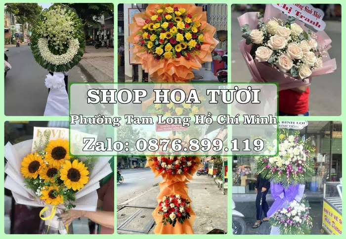 Shop hoa tươi tại Phường Tam Long Hồ Chí Minh – Hoa xinh, trái cây cho những dịp gần gũi · ảnh 1
