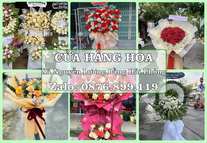Shop hoa tươi tại Xã Nguyễn Lương Bằng Hải Phòng – Hoa xinh, trái cây cho những dịp gần gũi · ảnh 1
