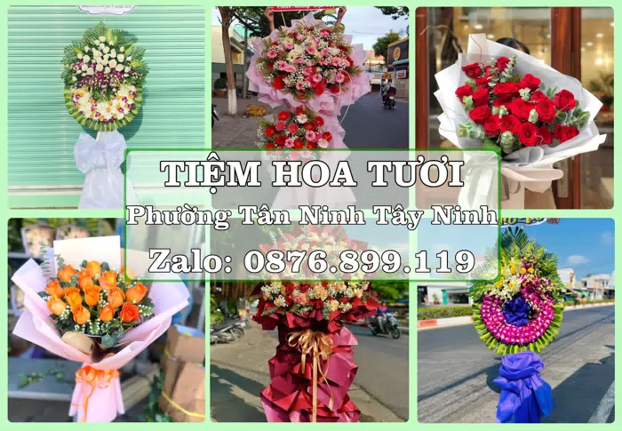 Shop hoa tươi tại Phường Tân Ninh Tây Ninh – Tư vấn hoa và trái cây theo ngân sách · ảnh 1