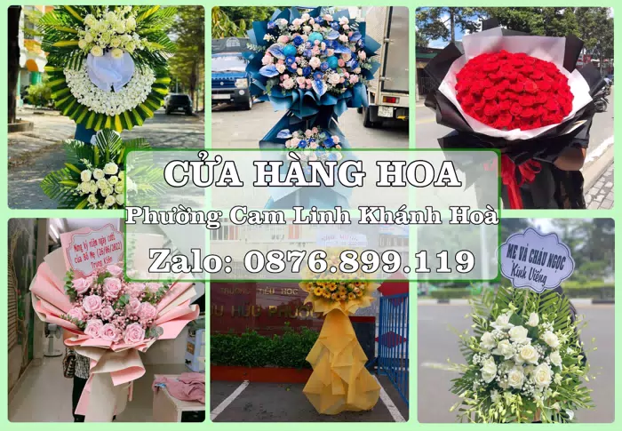 Shop hoa tươi tại Phường Cam Linh Khánh Hoà – Gửi lời quan tâm bằng hoa và trái cây · ảnh 1