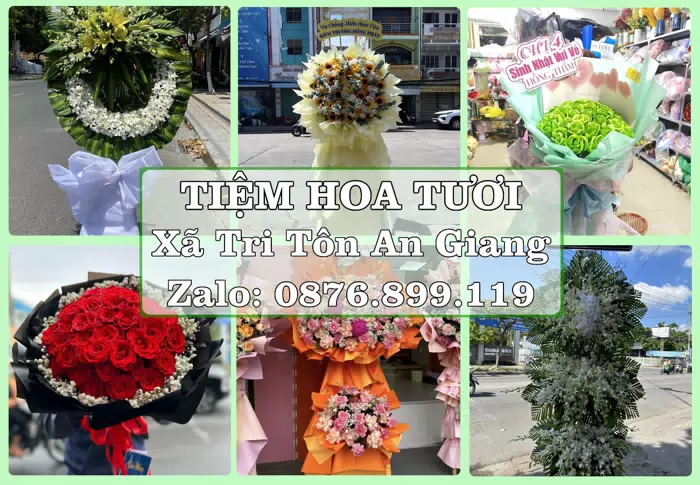 Shop hoa tươi tại Xã Tri Tôn An Giang – Chọn hoa, chọn giỏ quà thật chu đáo · ảnh 1