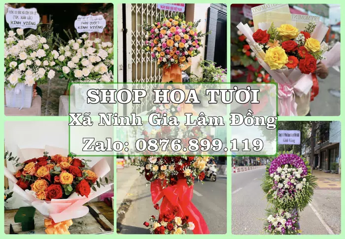 Shop hoa tươi tại Xã Ninh Gia Lâm Đồng – Hoa chúc mừng, quà biếu theo nhu cầu · ảnh 1
