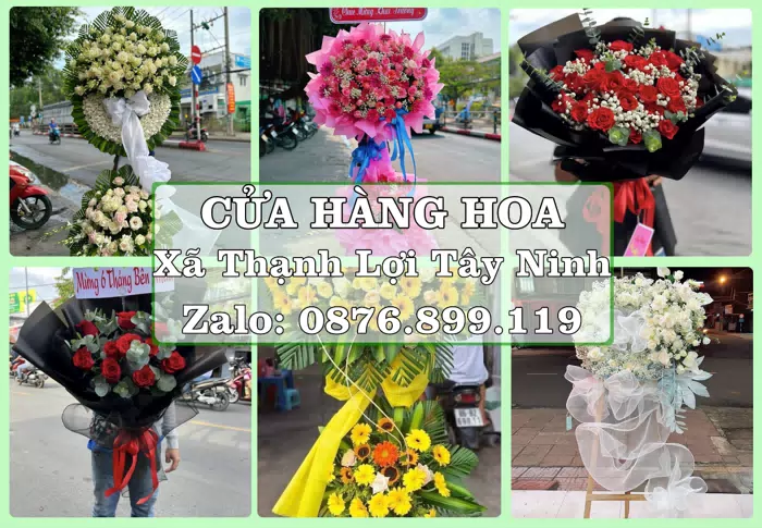 Shop hoa tươi tại Xã Thạnh Lợi Tây Ninh – Hoa xinh, trái cây cho những dịp gần gũi · ảnh 1