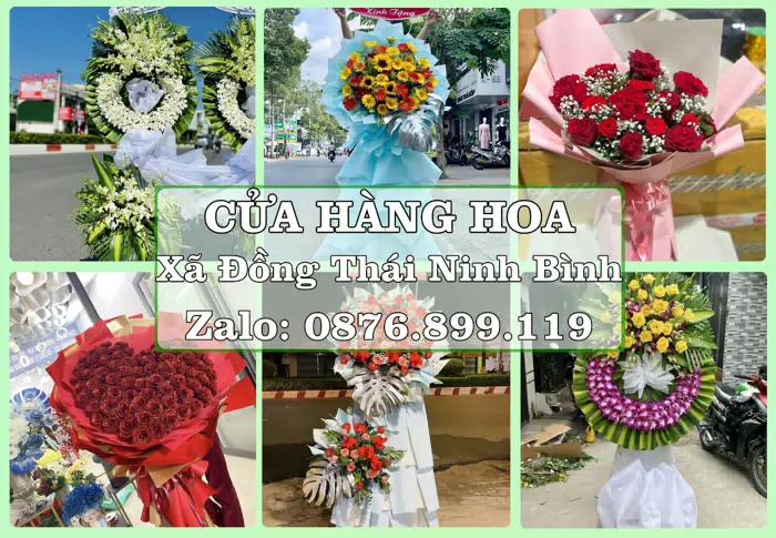 Shop hoa tươi tại Xã Đồng Thái Ninh Bình – Gửi lời quan tâm bằng hoa và trái cây · ảnh 1