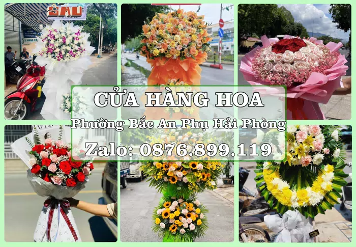 Shop hoa tươi tại Phường Bắc An Phụ Hải Phòng – Đặt quà gửi người thân từ xa · ảnh 1