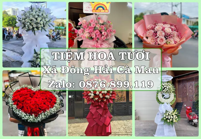 Shop hoa tươi tại Xã Đông Hải Cà Mau – Gửi lời quan tâm bằng hoa và trái cây · ảnh 1