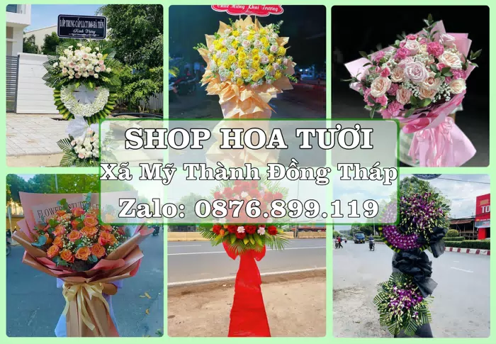 Shop hoa tươi tại Xã Mỹ Thành Đồng Tháp – Tư vấn hoa và trái cây theo ngân sách · ảnh 1