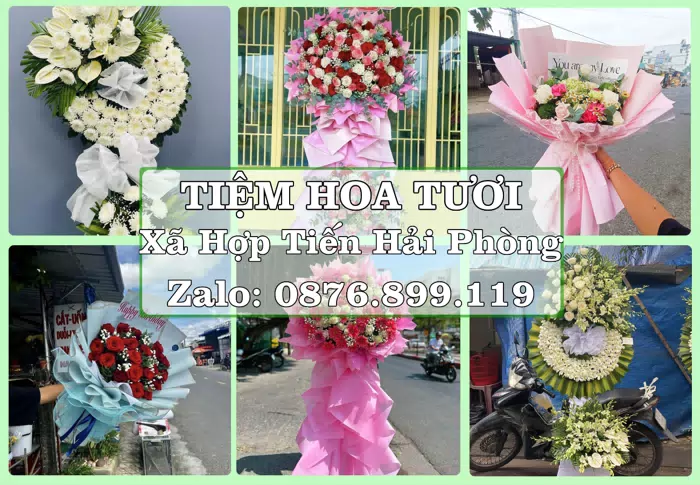 Shop hoa tươi tại Xã Hợp Tiến Hải Phòng – Tư vấn hoa và trái cây theo ngân sách · ảnh 1