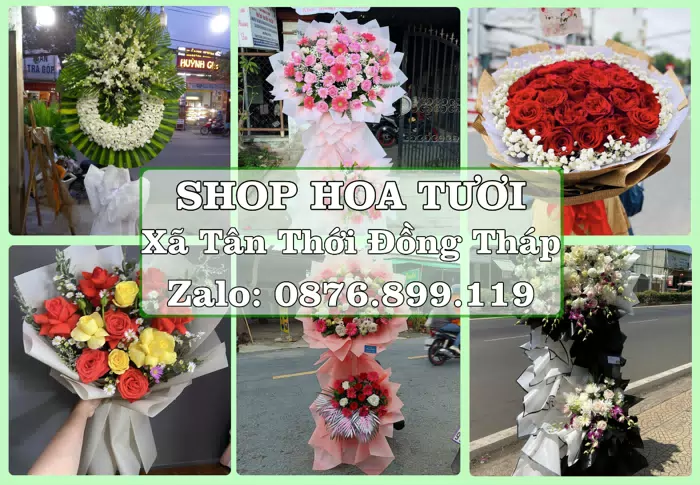 Shop hoa tươi tại Xã Tân Thới Đồng Tháp – Tìm món quà hợp dịp, hợp người nhận · ảnh 1