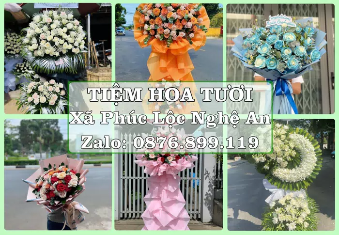 Shop hoa tươi tại Xã Phúc Lộc Nghệ An – Hoa chúc mừng, quà biếu theo nhu cầu · ảnh 1