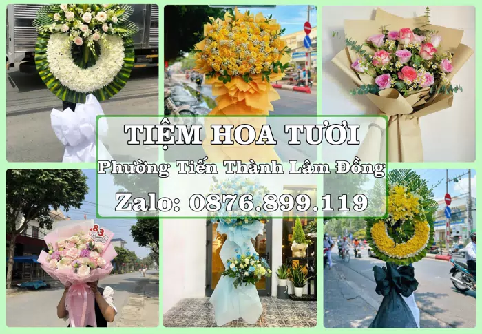 Shop hoa tươi tại Phường Tiến Thành Lâm Đồng – Hoa tươi và trái cây, dễ chọn theo từng dịp · ảnh 1