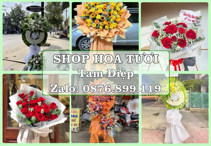 Shop hoa tươi tại Tam Điệp – Hoa chúc mừng, quà biếu theo nhu cầu · ảnh 1