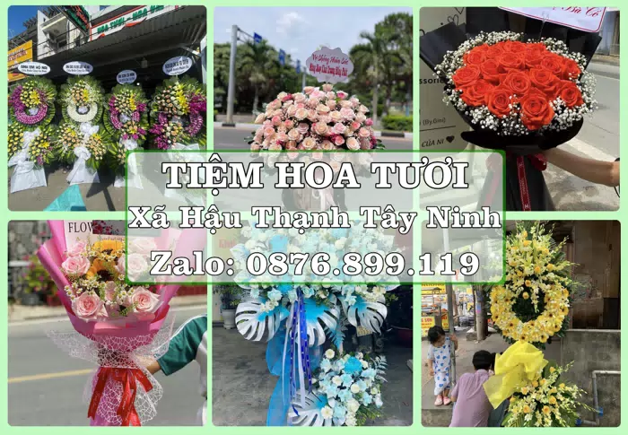 Shop hoa tươi tại Xã Hậu Thạnh Tây Ninh – Từ bó hoa tặng đến giỏ trái cây biếu · ảnh 1