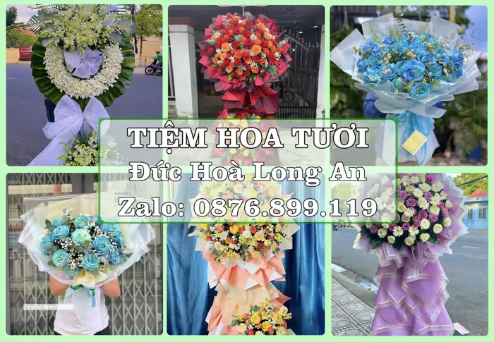Shop hoa tươi tại Đức Hoà Long An – Từ bó hoa tặng đến giỏ trái cây biếu · ảnh 1