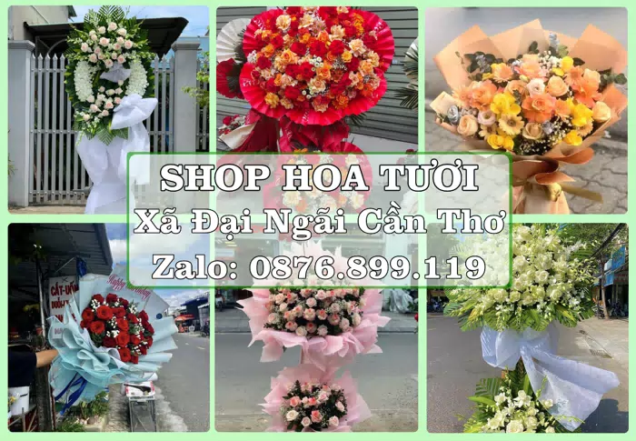 Shop hoa tươi tại Xã Đại Ngãi Cần Thơ – Hoa xinh, trái cây cho những dịp gần gũi · ảnh 1