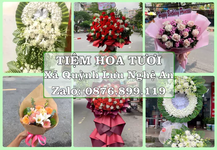 Shop hoa tươi tại Xã Quỳnh Lưu Nghệ An – Tư vấn hoa và trái cây theo ngân sách · ảnh 1