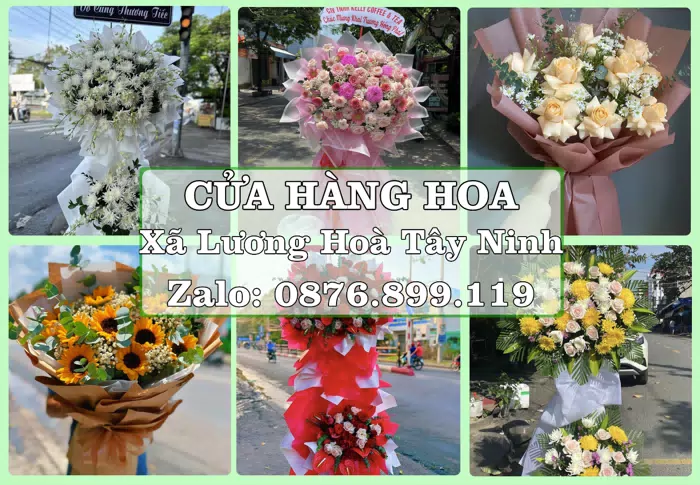 Shop hoa tươi tại Xã Lương Hoà Tây Ninh – Từ bó hoa tặng đến giỏ trái cây biếu · ảnh 1