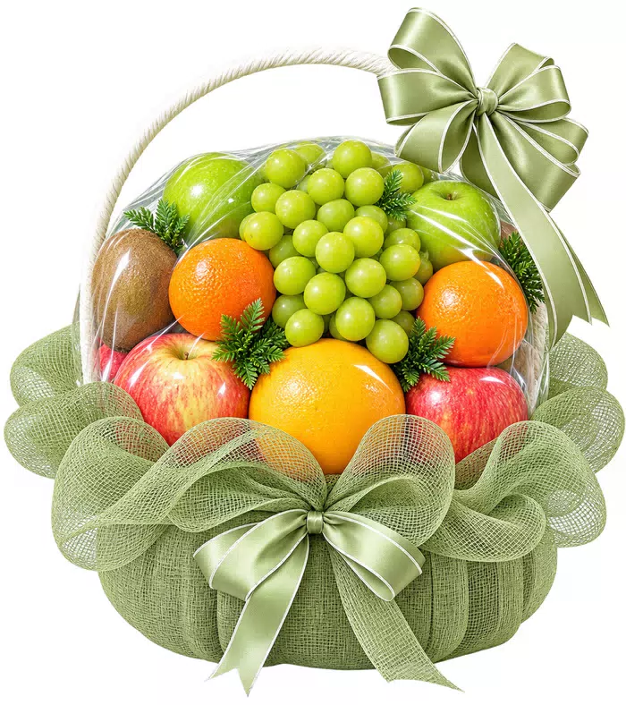 An Vui – giỏ quà trái cây lưới xanh