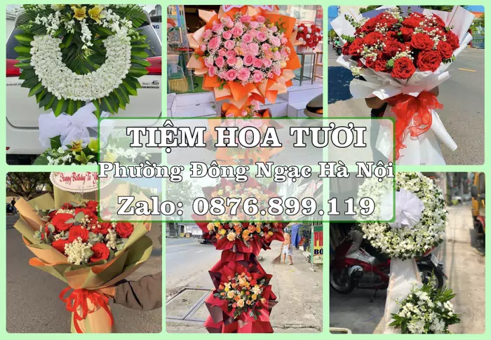 Shop hoa tươi tại Phường Đông Ngạc Hà Nội – Món quà chỉn chu từ những điều nhỏ · ảnh 1