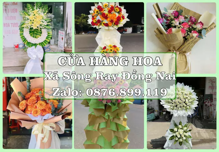 Shop hoa tươi tại Xã Sông Ray Đồng Nai – Hoa chúc mừng, quà biếu theo nhu cầu · ảnh 1