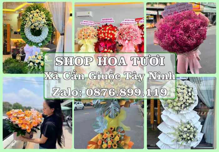 Shop hoa tươi tại Xã Cần Giuộc Tây Ninh – Tư vấn hoa và trái cây theo ngân sách · ảnh 1