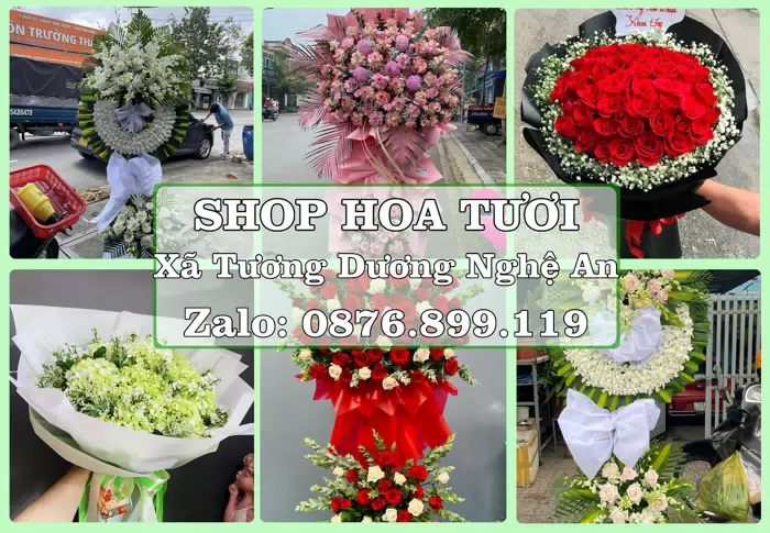 Shop hoa tươi tại Xã Tương Dương Nghệ An – Từ bó hoa tặng đến giỏ trái cây biếu · ảnh 1