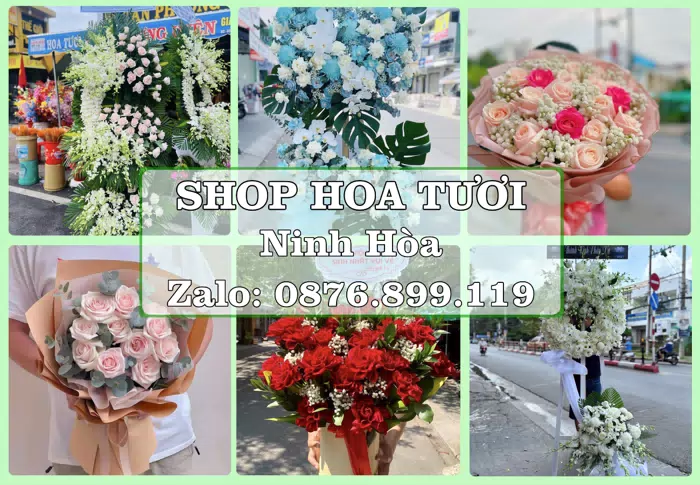Shop hoa tươi tại Ninh Hòa – Từ bó hoa tặng đến giỏ trái cây biếu · ảnh 1