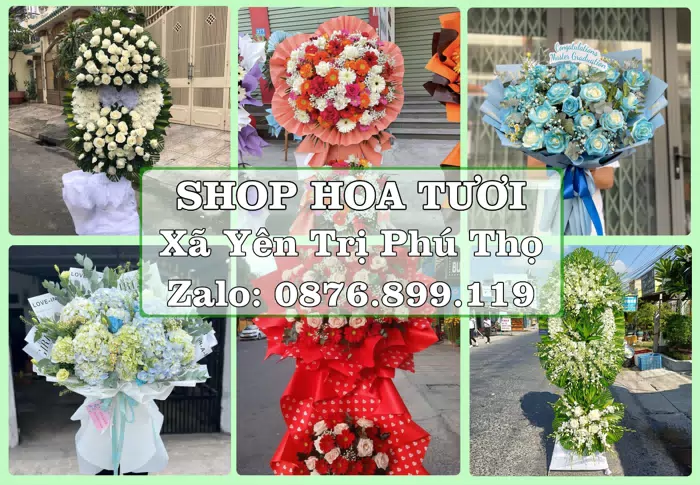 Shop hoa tươi tại Xã Yên Trị Phú Thọ – Hoa tươi và trái cây, dễ chọn theo từng dịp · ảnh 1