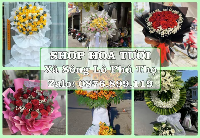 Shop hoa tươi tại Xã Sông Lô Phú Thọ – Tư vấn hoa và trái cây theo ngân sách · ảnh 1