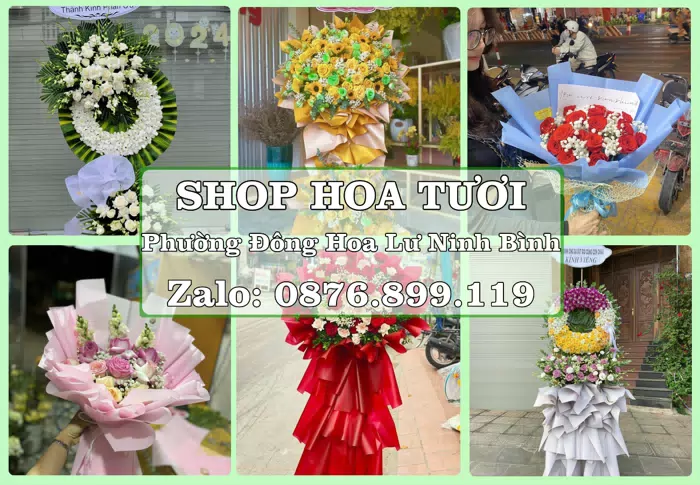 Shop hoa tươi tại Phường Đông Hoa Lư Ninh Bình – Hoa xinh, trái cây cho những dịp gần gũi · ảnh 1