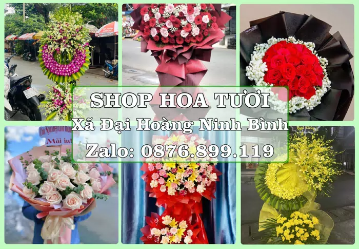 Shop hoa tươi tại Xã Đại Hoàng Ninh Bình – Tư vấn hoa và trái cây theo ngân sách · ảnh 1