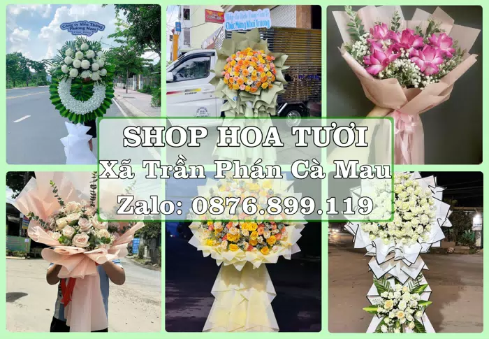 Shop hoa tươi tại Xã Trần Phán Cà Mau – Tư vấn hoa và trái cây theo ngân sách · ảnh 1