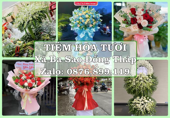 Shop hoa tươi tại Xã Ba Sao Đồng Tháp – Hoa chúc mừng, quà biếu theo nhu cầu · ảnh 1