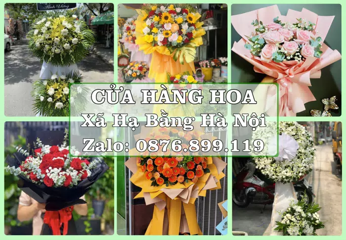 Shop hoa tươi tại Xã Hạ Bằng Hà Nội – Tìm món quà hợp dịp, hợp người nhận · ảnh 1
