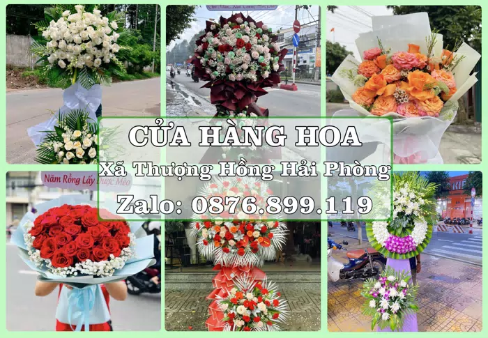 Shop hoa tươi tại Xã Thượng Hồng Hải Phòng – Món quà chỉn chu từ những điều nhỏ · ảnh 1