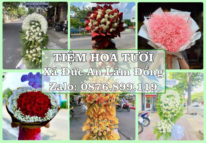 Shop hoa tươi tại Xã Đức An Lâm Đồng – Tìm món quà hợp dịp, hợp người nhận · ảnh 1