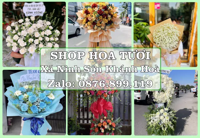 Shop hoa tươi tại Xã Ninh Sơn Khánh Hoà – Gửi lời quan tâm bằng hoa và trái cây · ảnh 1