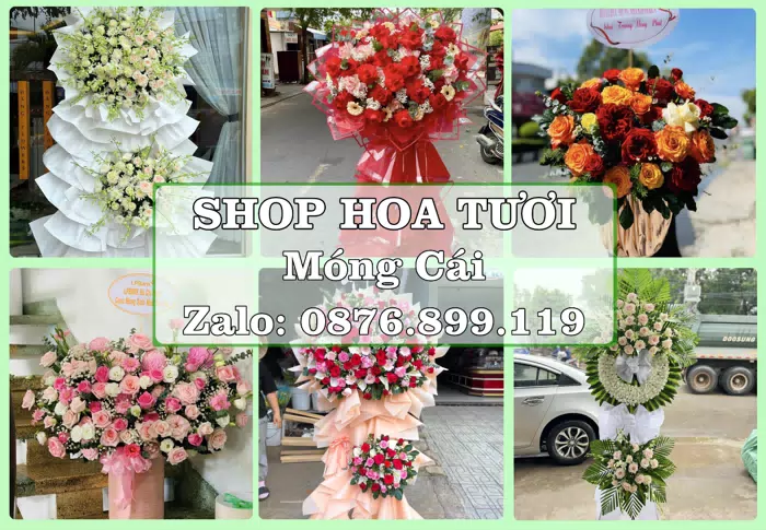 Shop hoa tươi tại Móng Cái – Chuẩn bị hoa và quà cho dịp sắp tới · ảnh 1