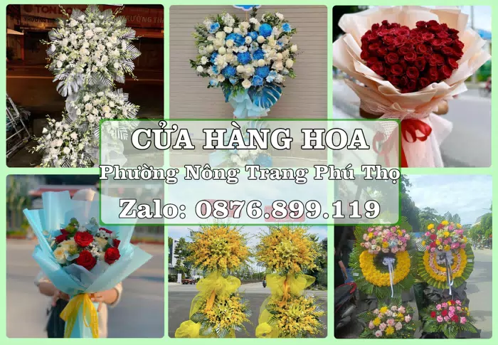 Shop hoa tươi tại Phường Nông Trang Phú Thọ – Tư vấn hoa và trái cây theo ngân sách · ảnh 1