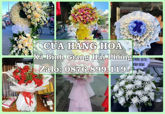 Shop hoa tươi tại Xã Bình Giang Hải Phòng – Tư vấn hoa và trái cây theo ngân sách · ảnh 1