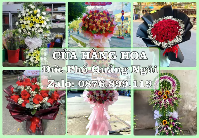 Shop hoa tươi tại Đức Phổ Quảng Ngãi – Hoa tươi và trái cây, dễ chọn theo từng dịp · ảnh 1