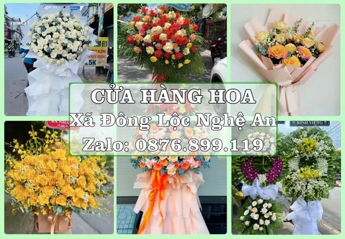 Shop hoa tươi tại Xã Đông Lộc Nghệ An – Tư vấn hoa và trái cây theo ngân sách · ảnh 1